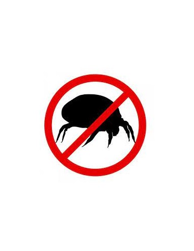 Fumigène insecticide Teskad anti puces/punaises de lit/cafards/mites/araignées/mouches/  moucherons jusqu'à 250m3 : : Jardin